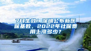 7月生效！深圳公布新医保基数，2022年社保费用上涨多少？