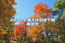 2022上海人才引进个税查多少