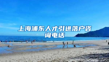 上海浦东人才引进落户咨询电话