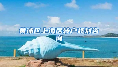 黄浦区上海居转户规划咨询