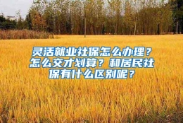 灵活就业社保怎么办理？怎么交才划算？和居民社保有什么区别呢？