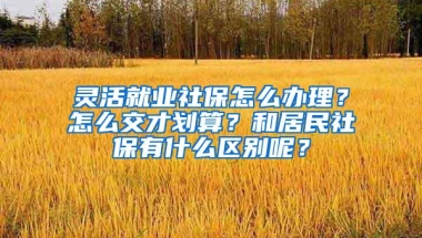 灵活就业社保怎么办理？怎么交才划算？和居民社保有什么区别呢？