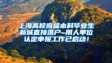 上海高校应届本科毕业生新城直接落户~用人单位认定申报工作已启动！