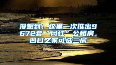 没想到！这里一次推出9672套“网红”公租房，四口之家可选三房