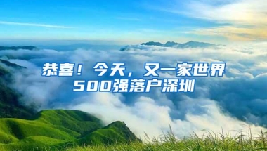 恭喜！今天，又一家世界500强落户深圳