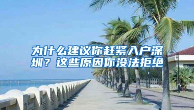 为什么建议你赶紧入户深圳？这些原因你没法拒绝