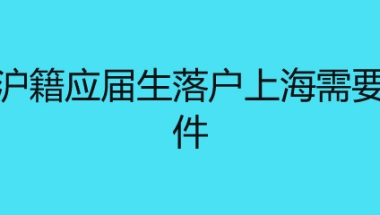 非沪籍应届生落户上海需要条件