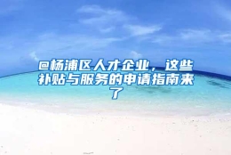 @杨浦区人才企业，这些补贴与服务的申请指南来了