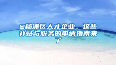 @杨浦区人才企业，这些补贴与服务的申请指南来了