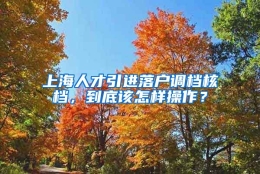 上海人才引进落户调档核档，到底该怎样操作？