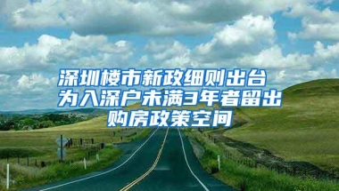 深圳楼市新政细则出台 为入深户未满3年者留出购房政策空间