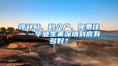 领补贴、秒入户、免费住……毕业生来深圳到底有多好？