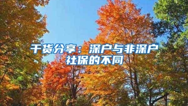 干货分享：深户与非深户社保的不同