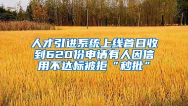 人才引进系统上线首日收到620份申请有人因信用不达标被拒“秒批”