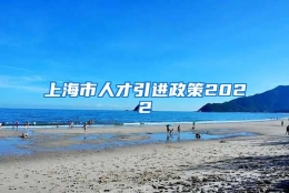 上海市人才引进政策2022