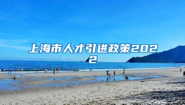 上海市人才引进政策2022