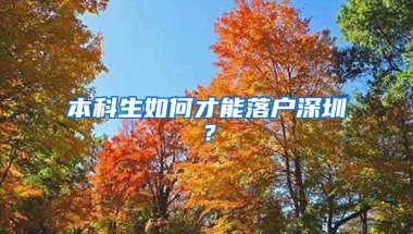 本科生如何才能落户深圳？