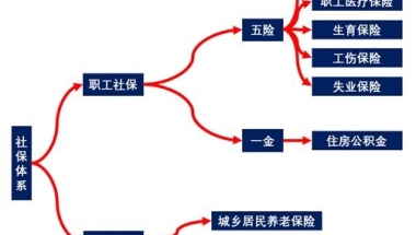 社会保障卡与应届生／工作人员／失业人员的爱恨情仇