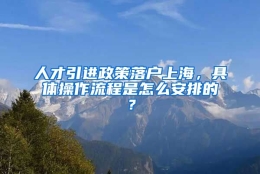 人才引进政策落户上海，具体操作流程是怎么安排的？