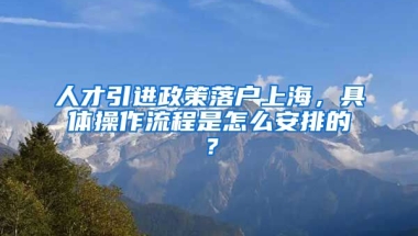 人才引进政策落户上海，具体操作流程是怎么安排的？