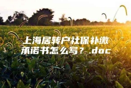 上海居转户社保补缴承诺书怎么写？.doc