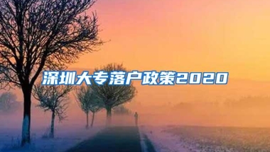 深圳大专落户政策2020