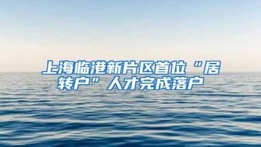 上海临港新片区首位“居转户”人才完成落户