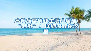 高校应届毕业生落户深圳“秒批”！详细流程在这里