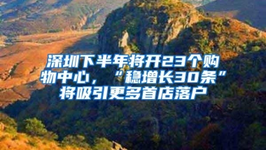 深圳下半年将开23个购物中心，“稳增长30条”将吸引更多首店落户