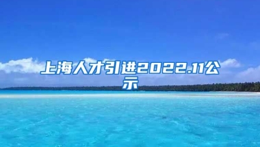 上海人才引进2022.11公示