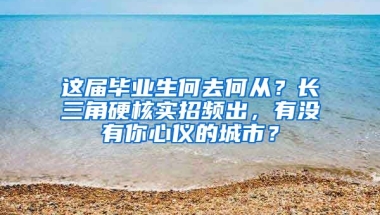 这届毕业生何去何从？长三角硬核实招频出，有没有你心仪的城市？