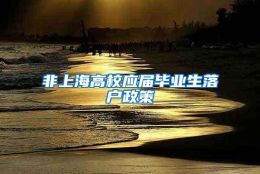 非上海高校应届毕业生落户政策