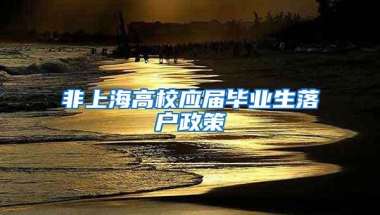 非上海高校应届毕业生落户政策