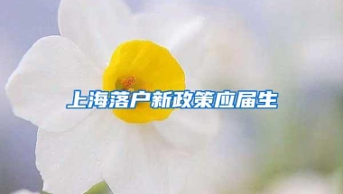 上海落户新政策应届生