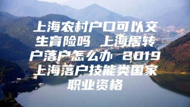 上海农村户口可以交生育险吗 上海居转户落户怎么办 2019上海落户技能类国家职业资格