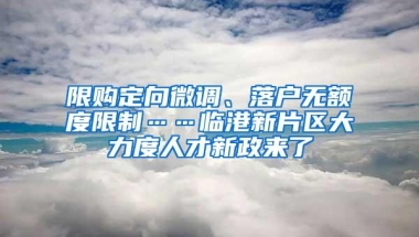 限购定向微调、落户无额度限制……临港新片区大力度人才新政来了