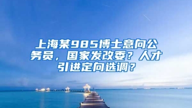 上海某985博士意向公务员，国家发改委？人才引进定向选调？