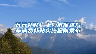 万元补贴！上海市促进汽车消费补贴实施细则发布