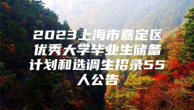 2023上海市嘉定区优秀大学毕业生储备计划和选调生招录55人公告