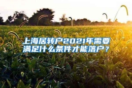 上海居转户2021年需要满足什么条件才能落户？