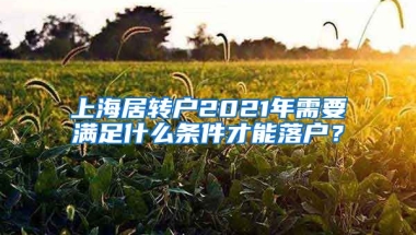 上海居转户2021年需要满足什么条件才能落户？