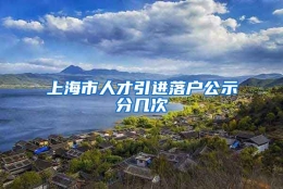 上海市人才引进落户公示分几次