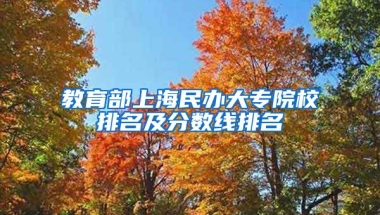 教育部上海民办大专院校排名及分数线排名