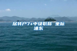 居转户7+中级职称 坐标浦东