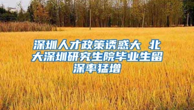 深圳人才政策诱惑大 北大深圳研究生院毕业生留深率猛增