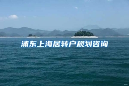 浦东上海居转户规划咨询