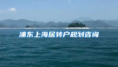 浦东上海居转户规划咨询