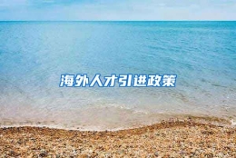 海外人才引进政策