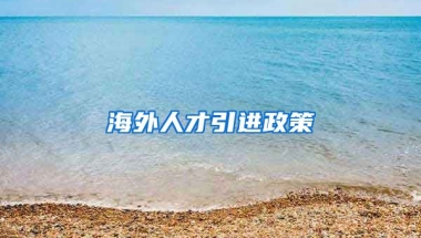 海外人才引进政策