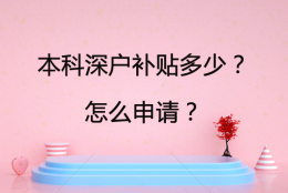 本科深户补贴多少？怎么申请？